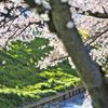 五条川