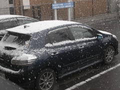 雪が降ってきた