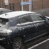 雪が降ってきた