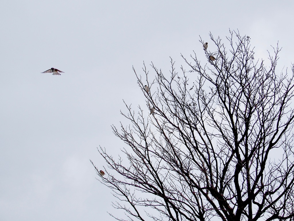 It's time to fly