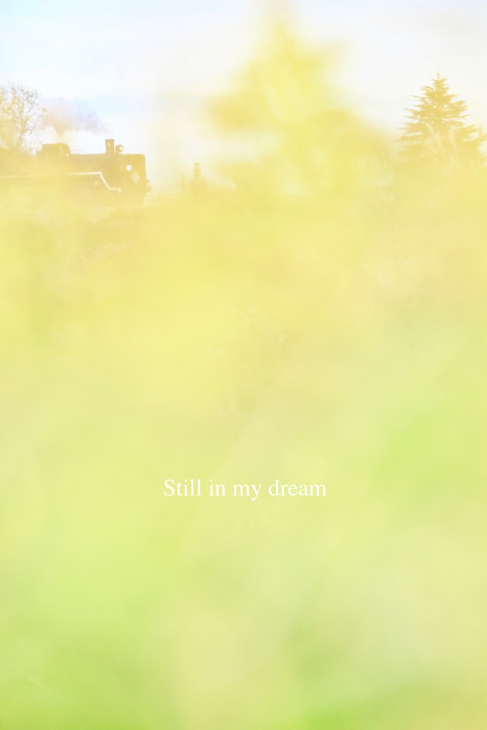 Still in my dream