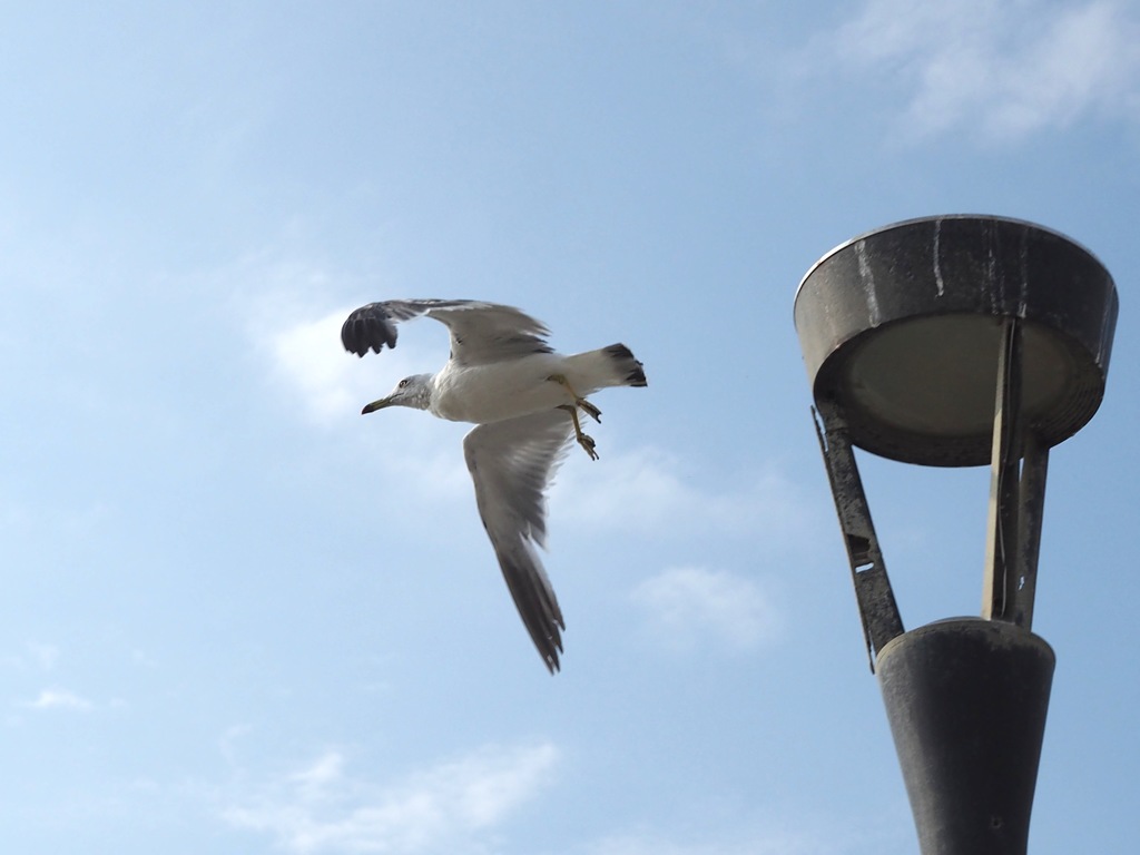 Take off !!