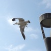 Take off !!