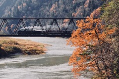 秋枯れ橋梁