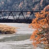 秋枯れ橋梁
