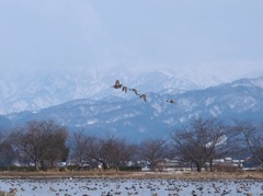 北へ