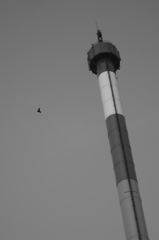 Reach for the top