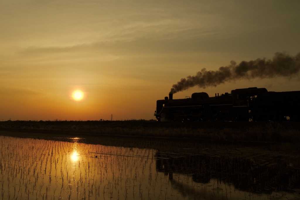 Sunset Memory