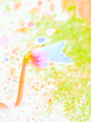 春色の息吹