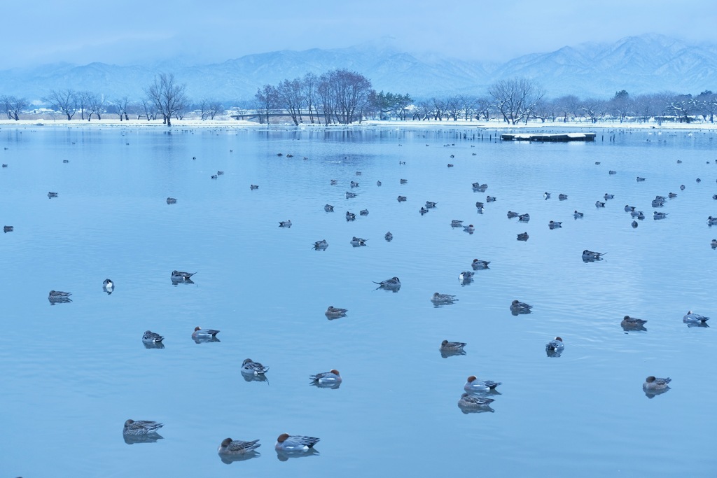 Winter blue の静寂