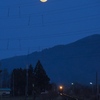 Under the moon light