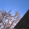 春空-harusora-