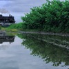 After the rain