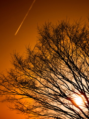 In the browny sky