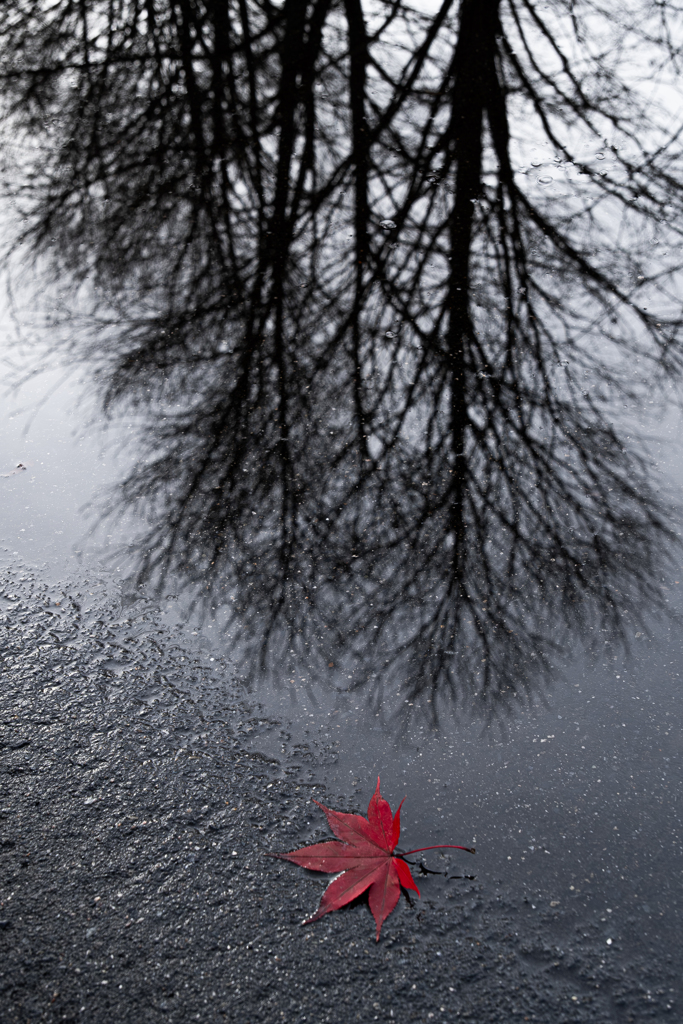 さよなら秋の日