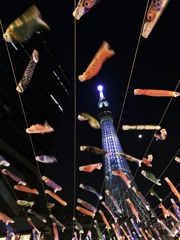 Tokyo Night Streamers