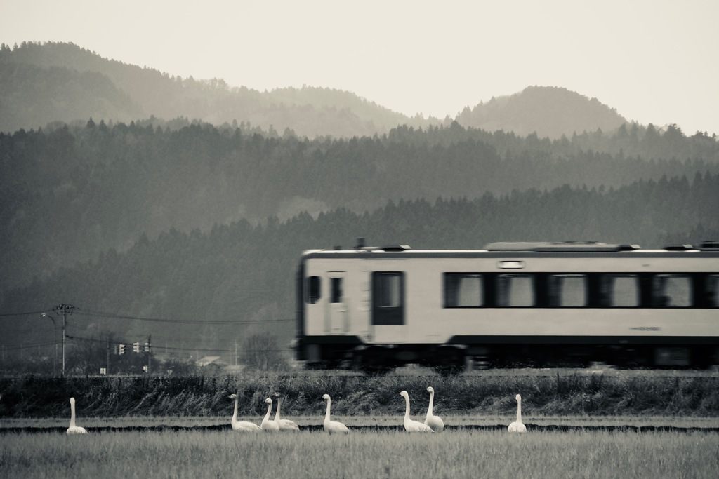 沿線の旅人たち
