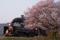 夕桜果敢