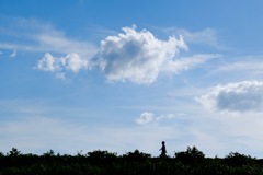 夏空の唄