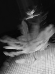 Spinning feathers