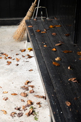 落ち葉のラッシュアワー