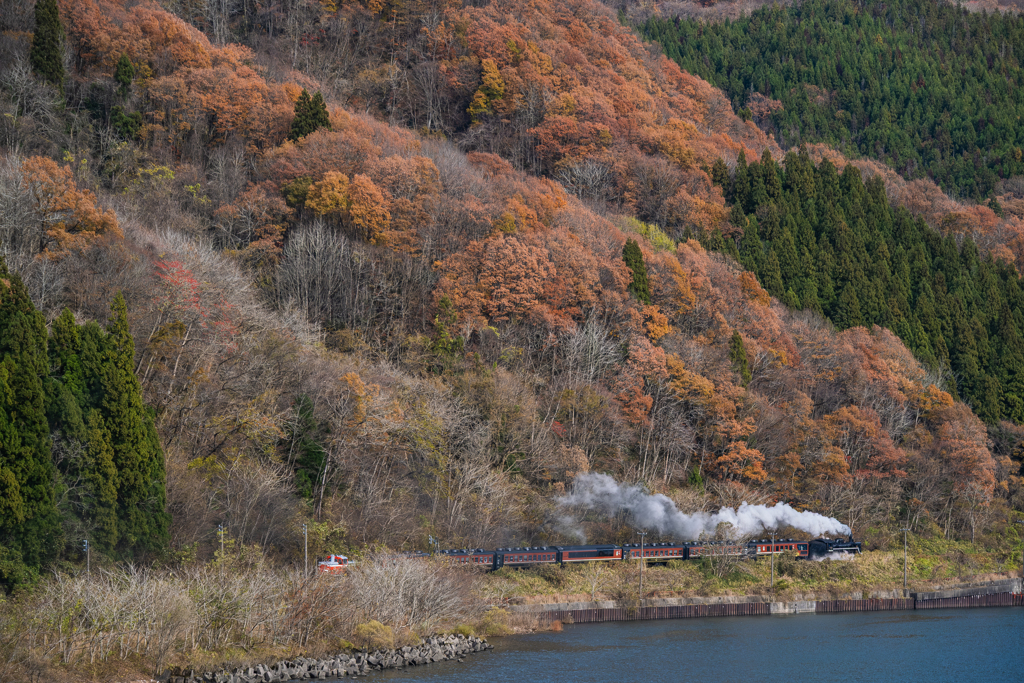 秋の終わりのハーモニー