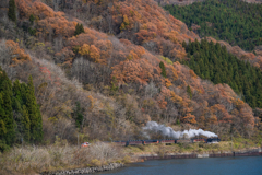 秋の終わりのハーモニー