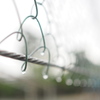 雨色の調べ