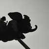 Magical Silhouette