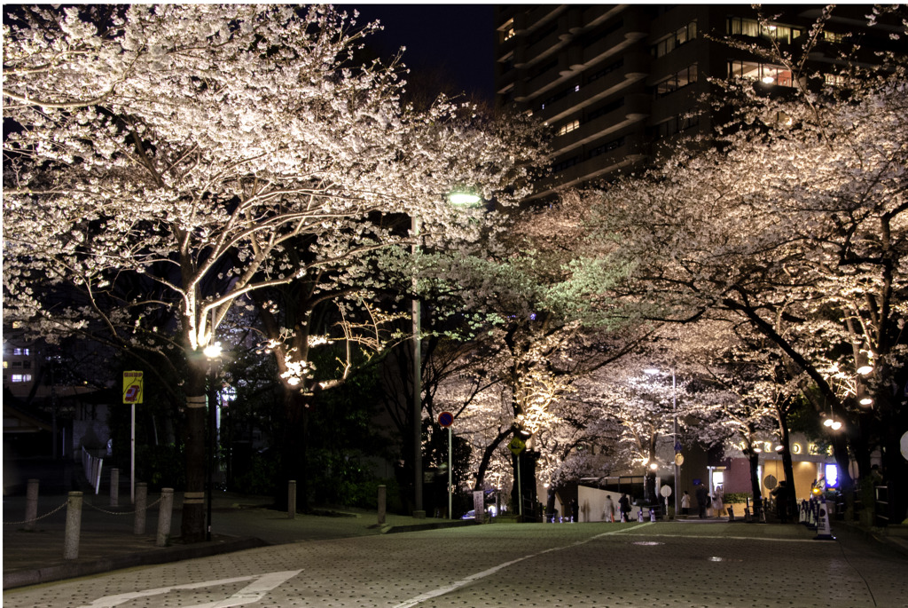 桜坂