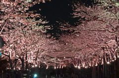 桜坂２