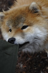 どこ行くの？
