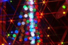 christmas　tree