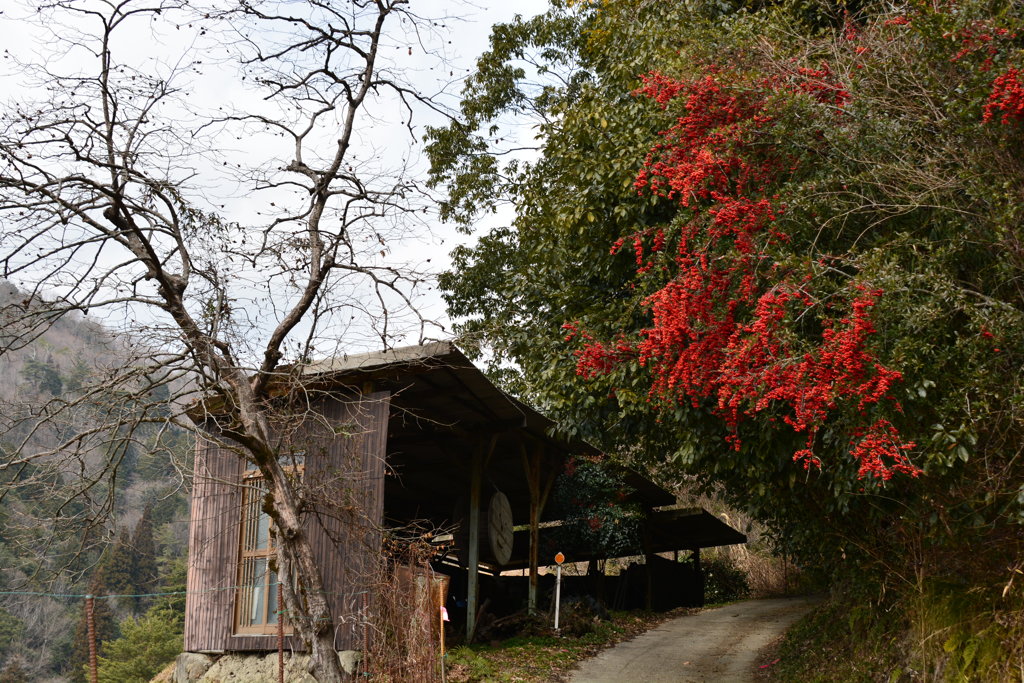 この道の向こうへ