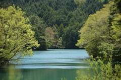 思いがけない・・・