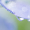 青の雫