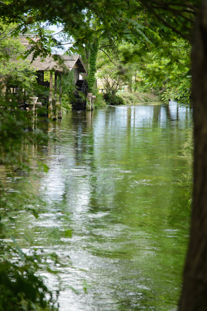 湧水の里　２