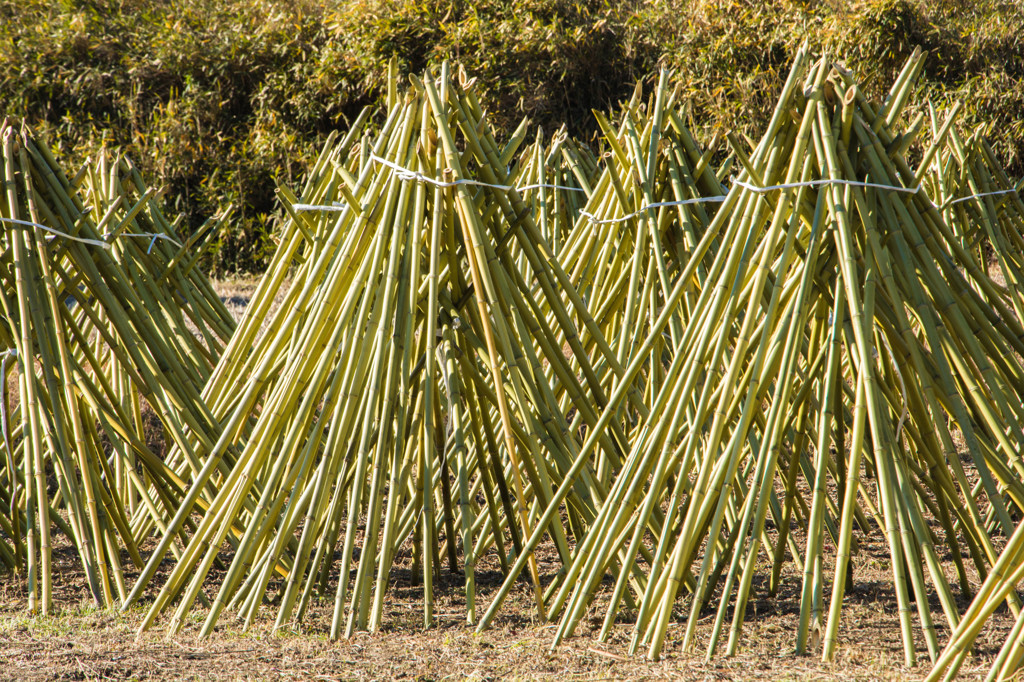 竹の天日干し・茶筅の里で