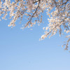 空を見上げたくなる日が、年に何回かある