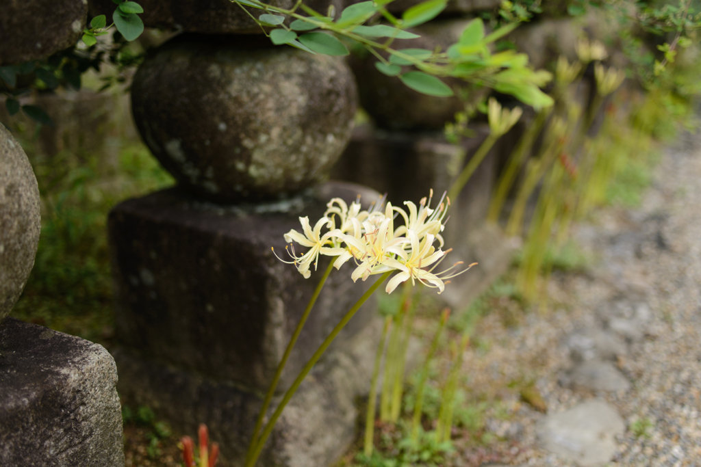 お参り