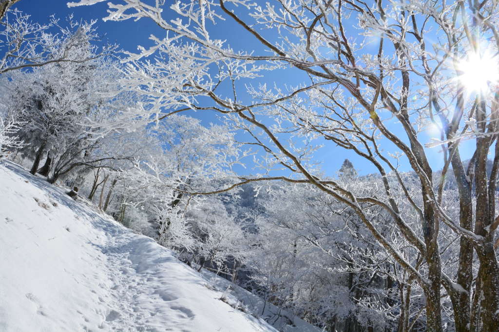 歩く、歩く。２