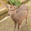 ちょっと待ってね