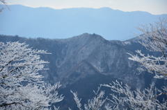 尾根を望む