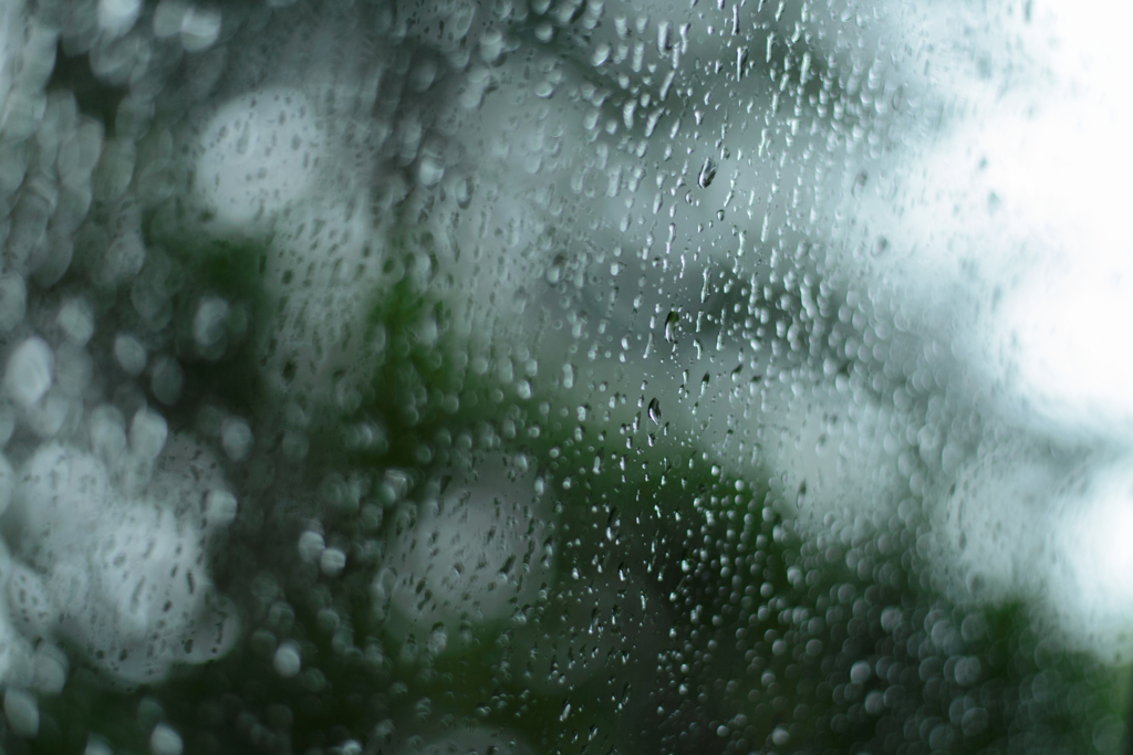 雨なので・・・