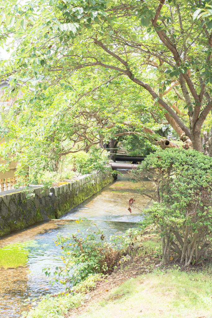 地蔵川　