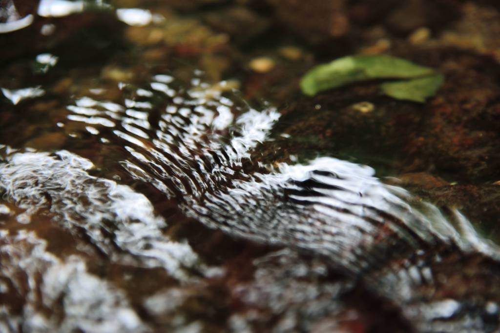 水の造形＜皺＞