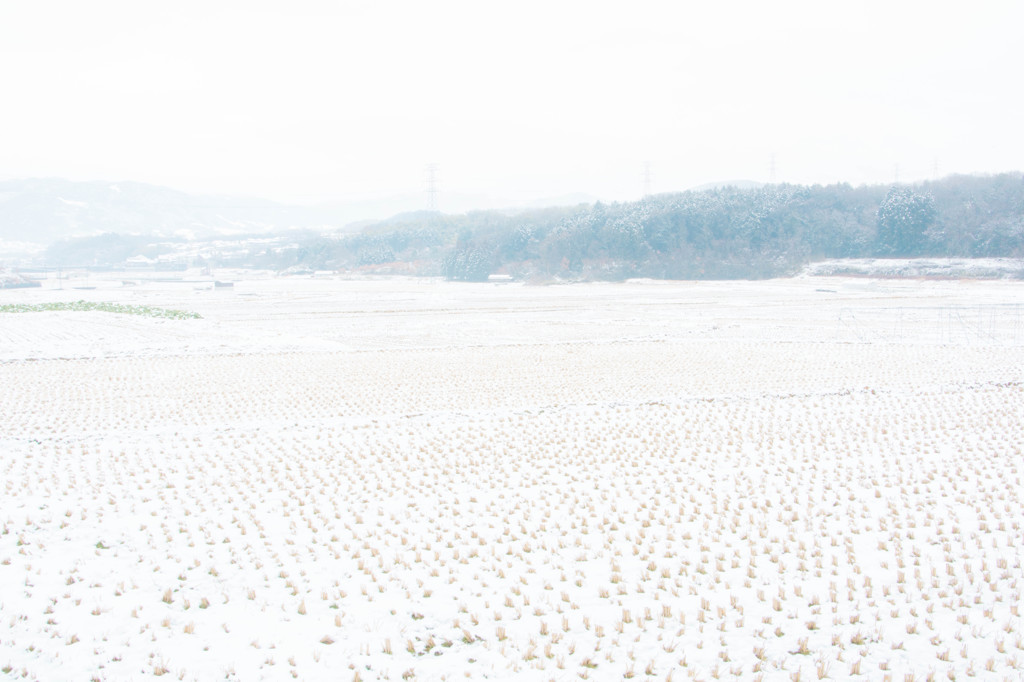 雪に霞む