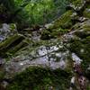 春日山原始林　　岩に阻まれた渓流で