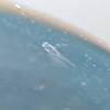 swimming!