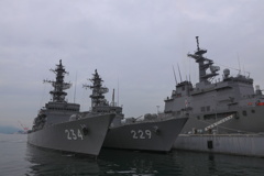 護衛艦　とね　あぶくま　輸送艦　おおすみ